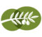 oliveoilalon.com